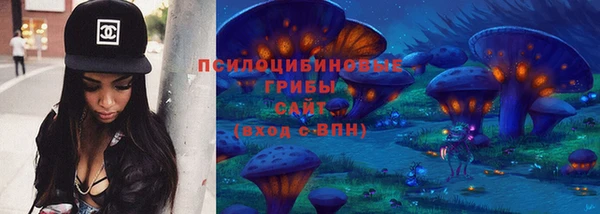 PSILOCYBIN Арсеньев